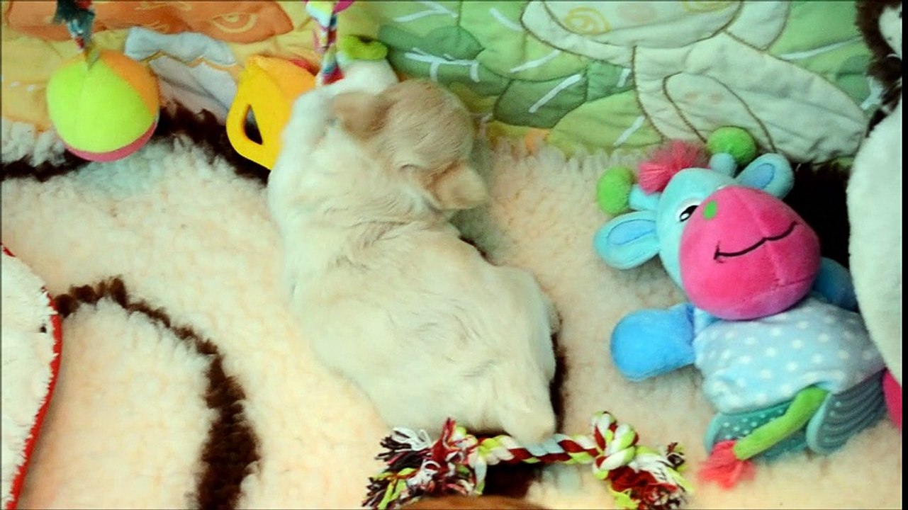 Nelson 16 mai 2017 Un film d'action ce matin