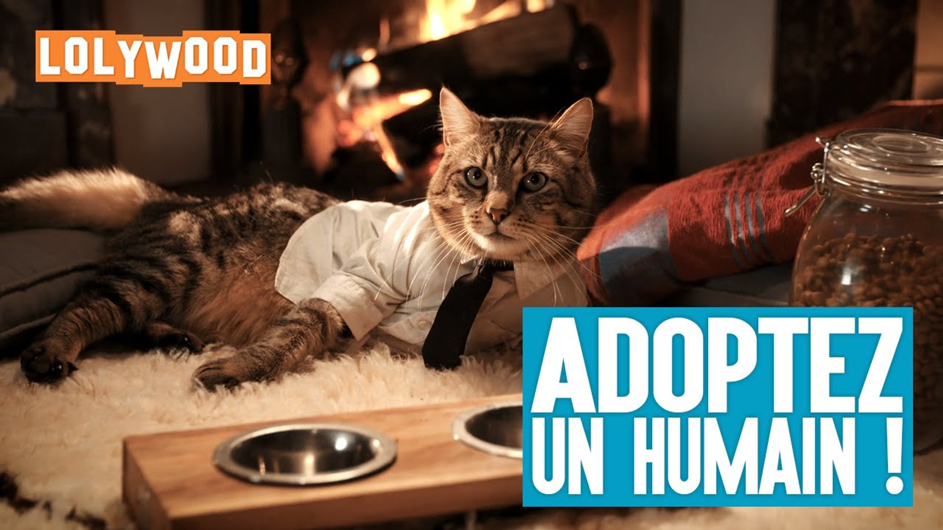 Adoptez Un Humain