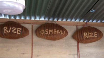 İstanbul'da "Karadeniz Rüzgarı" Esiyor