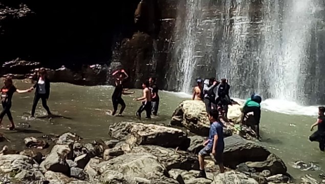 Hollywood Chewing-gum !