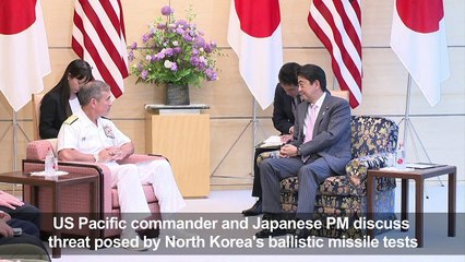 US Pacific commander meets Japanese PM in Tokyo