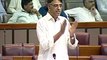 Asad Umar speech in National Assembly of Pakistan on Dawn Leaks issue