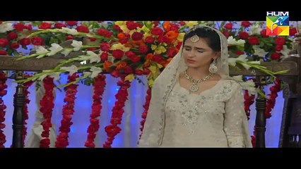 Mohabbat Khawab Safar Episode 8 - 16th May 2017