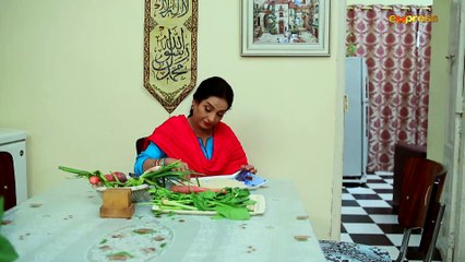 Naseboon Jali Nargis (Episode 17)