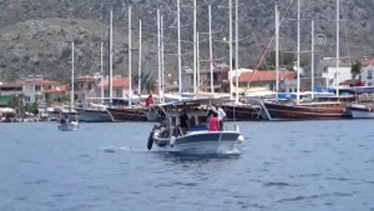 Dalgıçlar Denizde, Halk Ise Adada Temizlik Yaptı