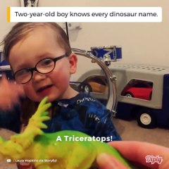 Ce gamin connait tous les noms de dinosaures...