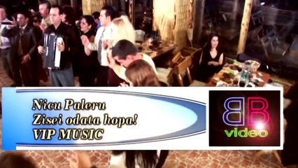 Nicu Paleru - Zisei odata hopa