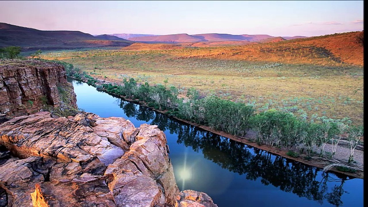 cheba Ouarda (jebtlou échographie) , الشابة وردة (جبتلو إيكوقرافي)