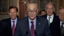 Schumer to Trump: Release transcript of meeting with Russians