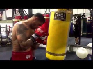 Michael Angelo Perez 24-1 working heavybag