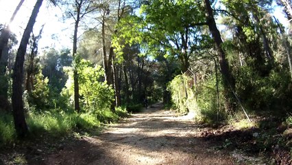 Max Micky Giampy - Cassano delle Murge