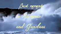 Best moments in Hermanus and Gansbaai-HR7Y_GGs9RM