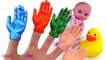 Learning Colors Video for Children Painted Hands Baby Doll Duck Fi