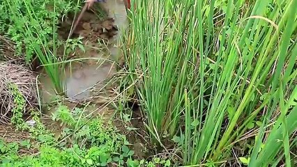 Amazing beautiful girl Fishing in combodia (10)