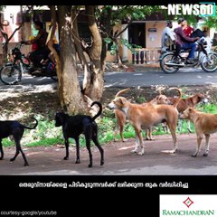 പട്ടിയെ പിടിച്ചാല്‍....2100 രൂപ???? #News60