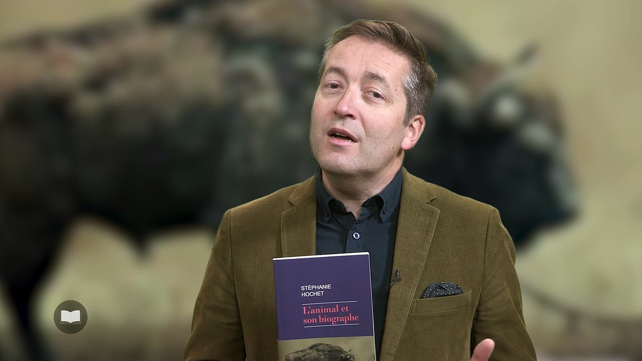 L’animal et son biographe de Stéphanie Hochet