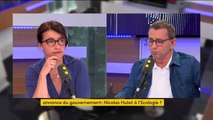 Nicolas Hulot au gouvernement ? Pour Cécile Duflot, 