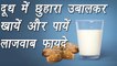Milk with dates, छुहारे वाला दूध | Health benefits | दूध में छुहारा उबालकर खायें, पायें लाजवाब फायदे | Boldsky