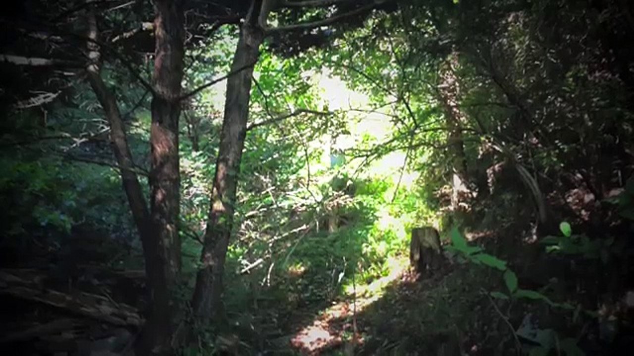 麻田義貴と散歩しよう (6)