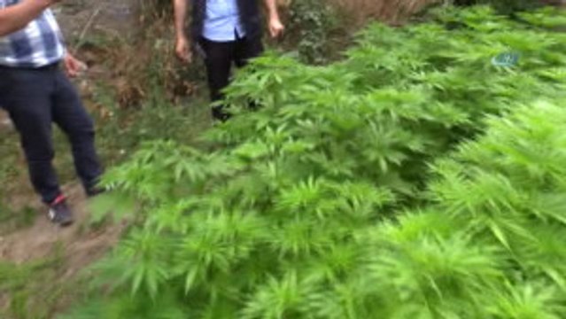 İzmir'de 25 Milyon TL Değerinde Uyuşturucu Madde Ele Geçirildi