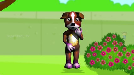 Funny Little Dog Injections in The Bottom - Learning Colors for Kids with 3D Dog_37