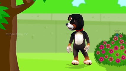 Funny Little Dog Injections in The Bottom - Learning Colors for Kids with 3D Dog_76
