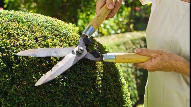 Alta Mirada Tree & Landcare - (760) 206-7360