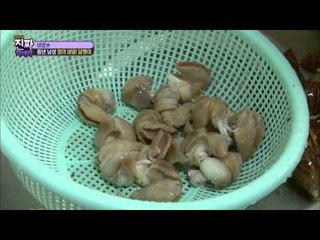달팽이 점액질은 스태미나에 최고?! [이경규의 진짜 카메라] 2회 20150922