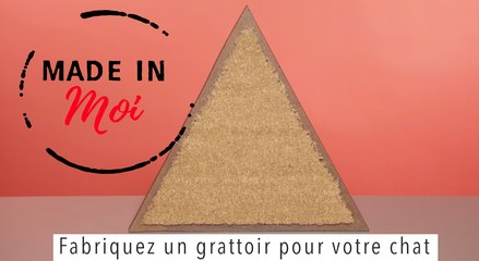 MADE IN MOI : comment créer un grattoir fun et design pour votre chat ?