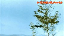 Stuka über Afrika [ドイツ軍歌] スツーカはアフリカを翔ぶ