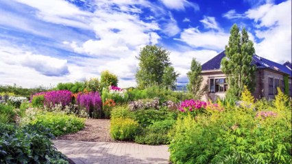 All American Lawn Services - (562) 202-5385