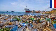 Belanda akan membersihkan tumpukan sampah samudera pasifik - Tomonews
