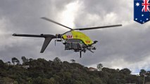 Drone pendeteksi hiu akan disebarkan di lautan Australia - Tomonews