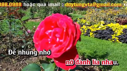 Karaoke - Ba Tháng Tạ Từ - Nhạc Sống Hay Nhất 2017