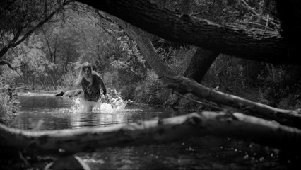 Gin Wigmore - New Rush