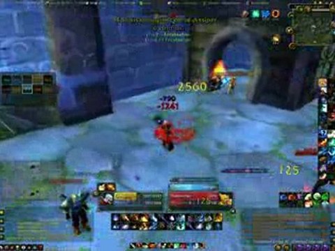 Gryfter mage PvP (croisade écarlate)