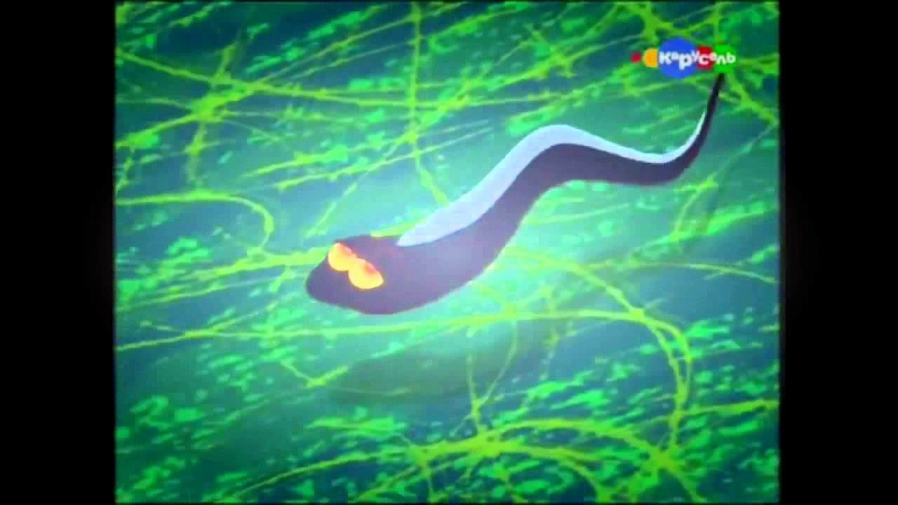 Zig and Sharko - E - Boo Who [HD]