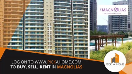 DLF Magnolias Gurgaon