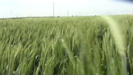 Süne Savaşçıları" Görev Başında