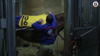 竹野内豊 CM JRA 競馬 日本ダービー