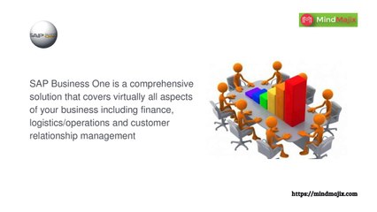 sap business one introduction/sap business one training