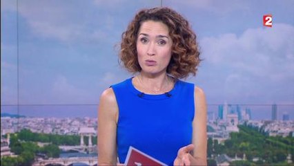 Anne-Sophie Lacarrau soutient David Pujadas