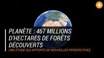 Planète : 467 millions d’hectares de forêts découverts