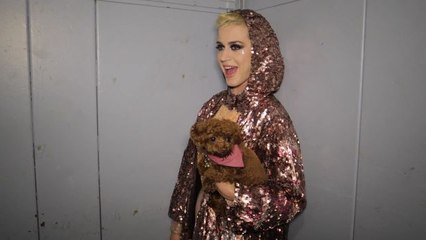 24 Hours with Katy Perry at the 2017 Met Gala