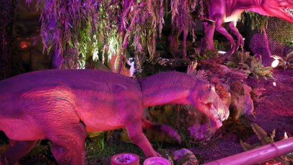 Visite guidée de l'expo Dino à Bruxelles
