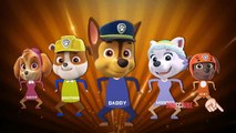 Paw Patrol Finger Family Dance Nursery Rhymes Kids(baby) Songs Kid Channel