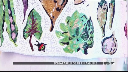 Schiaparelli de fil en aiguille