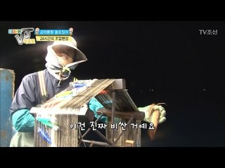 불빛따라 잡혀오는 오징어! [황수경의 VJ리포트] 7회 20170517