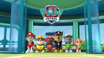 Paw Patrol Games For Kids To Play►Paw Patrol Introl► Nick jr For Kids