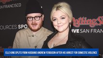 Elle King Splits From Husband Andrew Ferguson After His Arrest for Domestic Violence